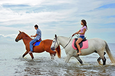 Puerto Vallarta Horseback Tour